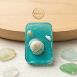 Ocean Real Shell Magnet Collections - Image 2