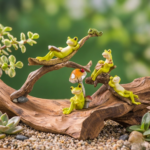 Whimsical Garden Frog showpiece - 3 variant